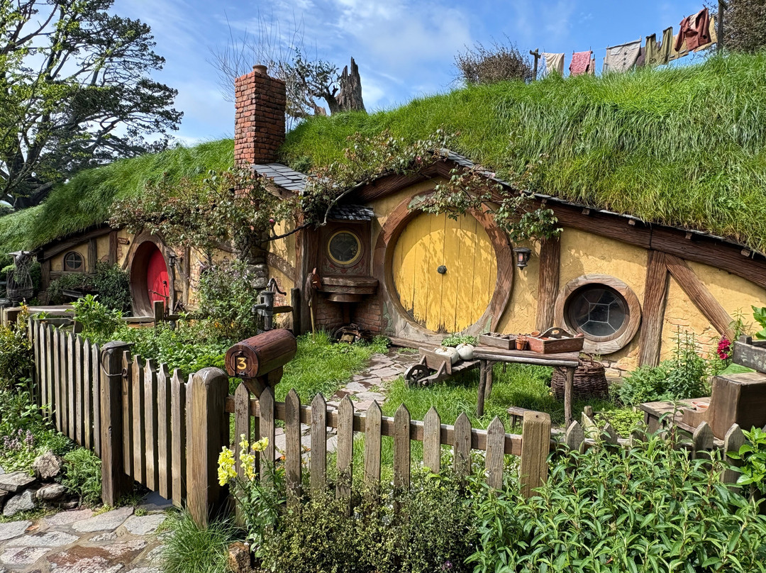 Red Carpet Tours-奥克兰中心地区必去景点