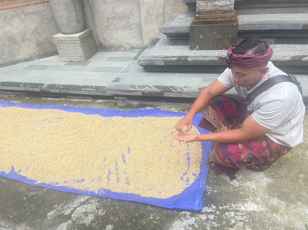 Bali Culture Tours-吉安雅必去景点