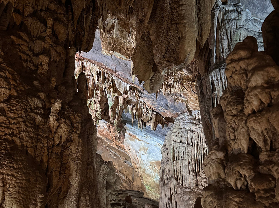 Phongnha Discovery-洞海必去景点
