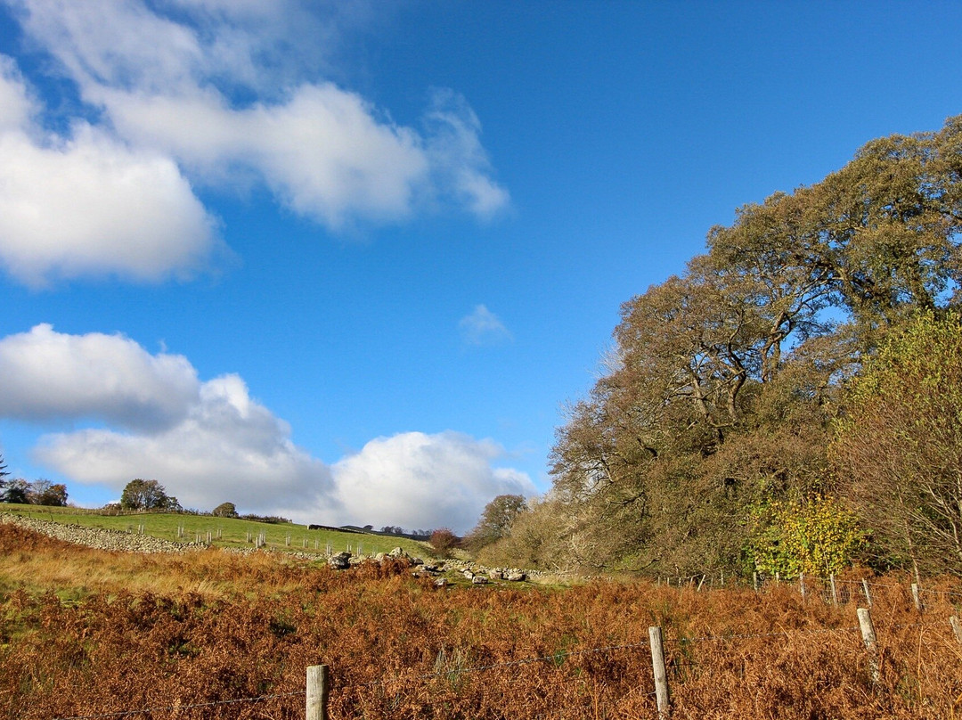 Aira Force Waterfall-彭里斯必去景点