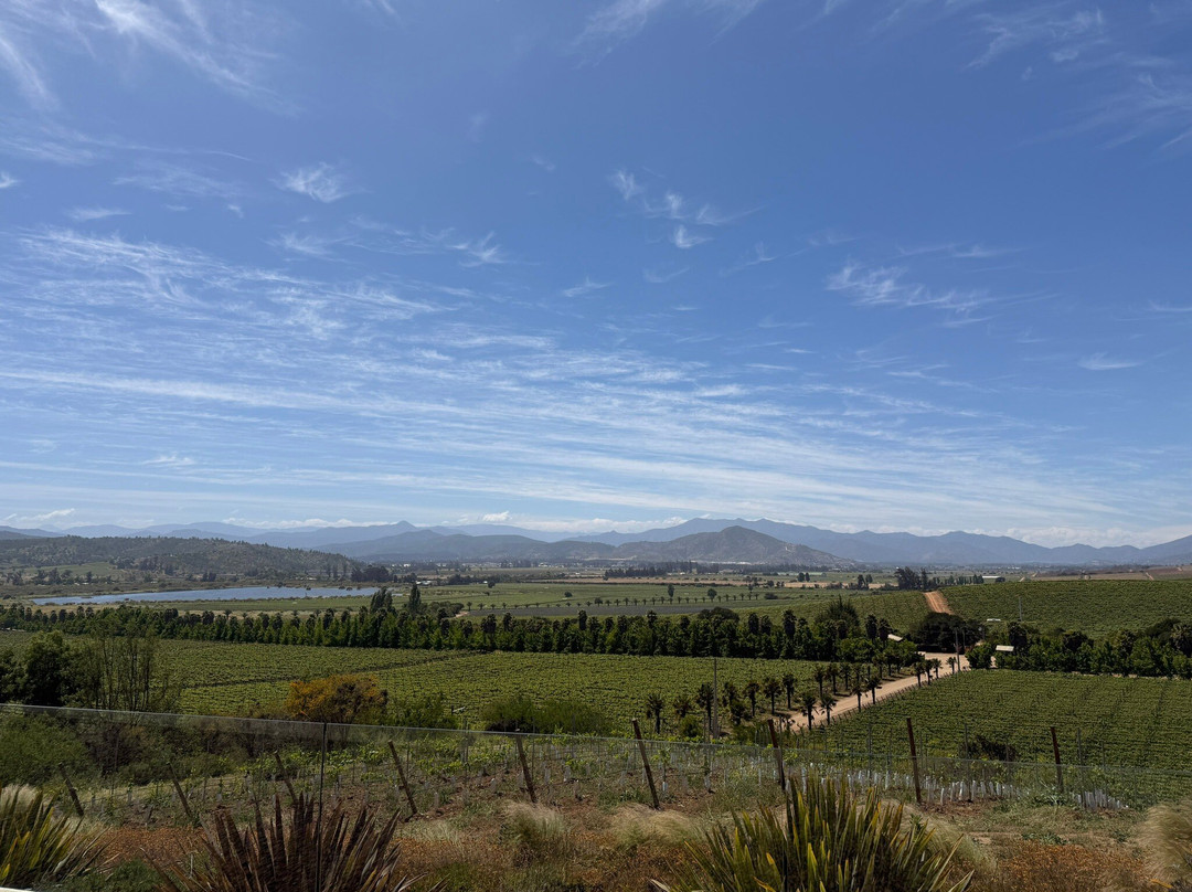 Kingston Family Vineyards-卡萨布兰卡必去景点