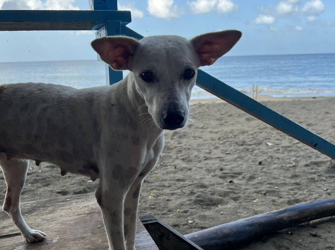 Nature Lovers Tours-Victoria必去景点