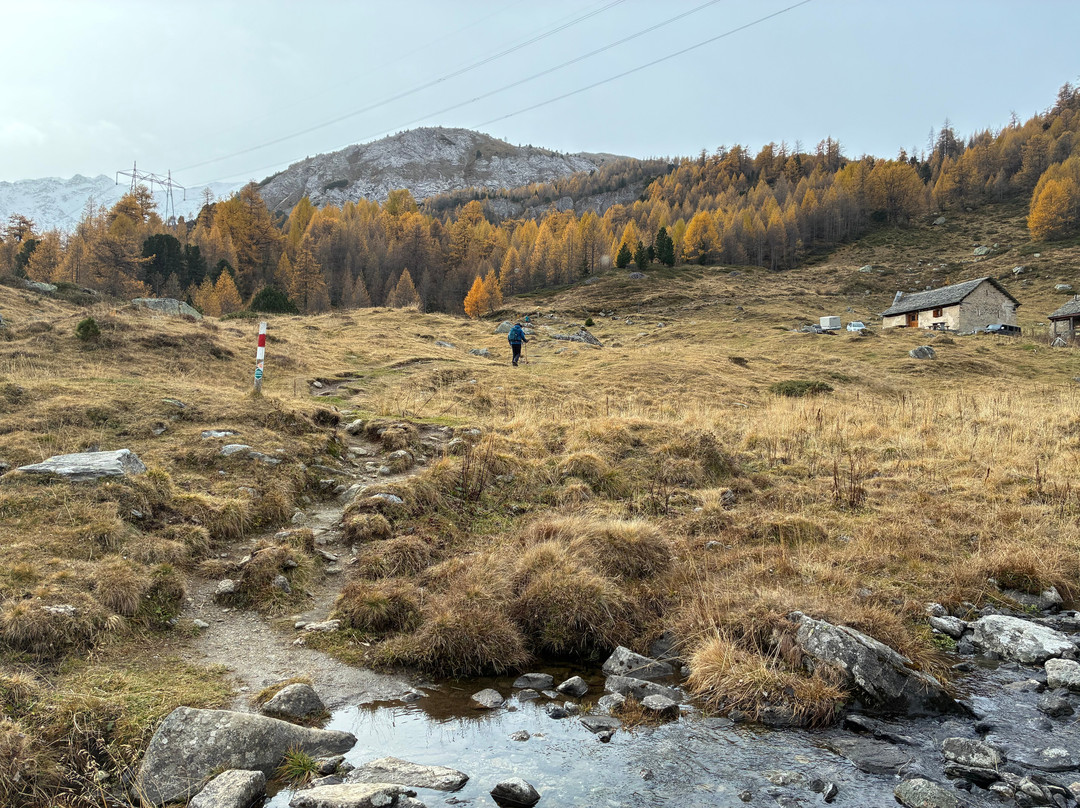 Family hotel Clarezia主图