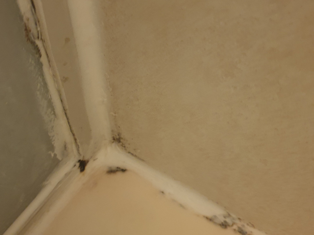 B&B HOTEL Lens Musée du Louvre主图