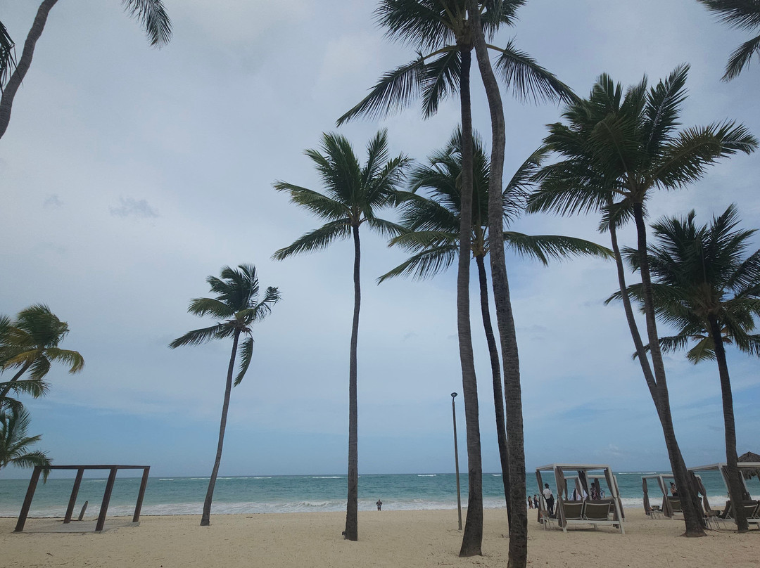 Agencia de Viajes Travel Oly-奇瓦瓦州必去景点