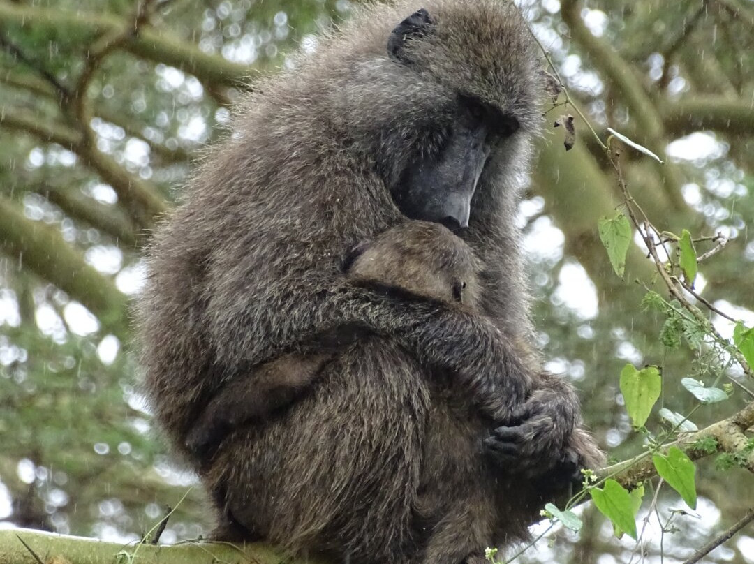 SunUp Adventures-内罗毕必去景点