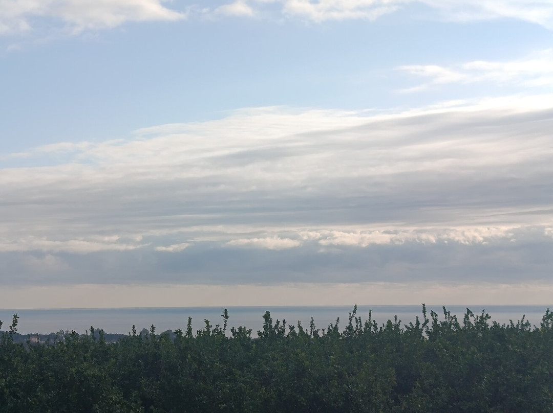 B&B Il Vulcano主图