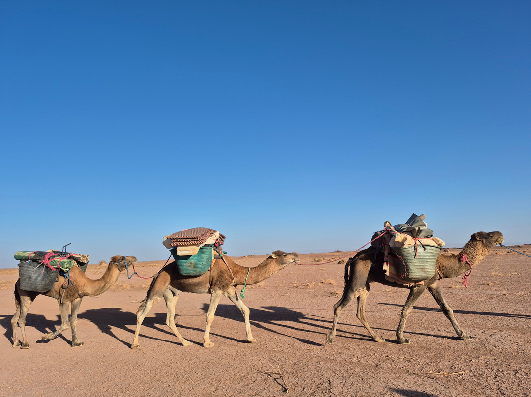 Eco Tourisme Trek Maroc-Azilal必去景点