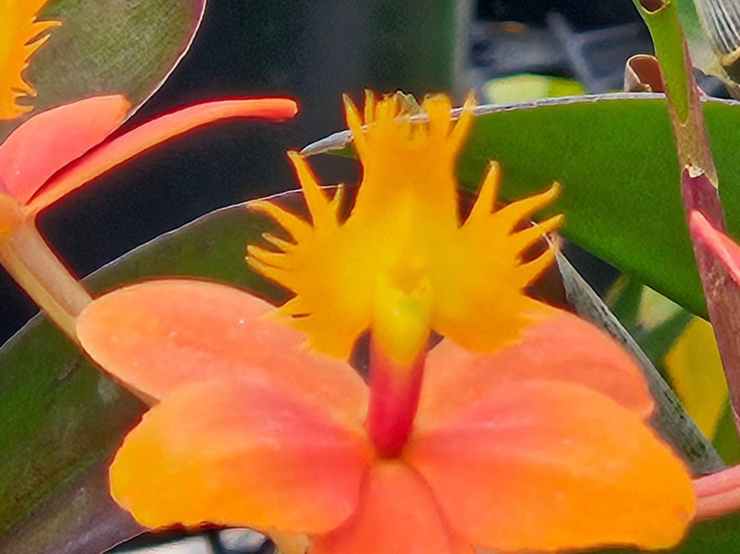 Alma del Bosque-La Ceja必去景点