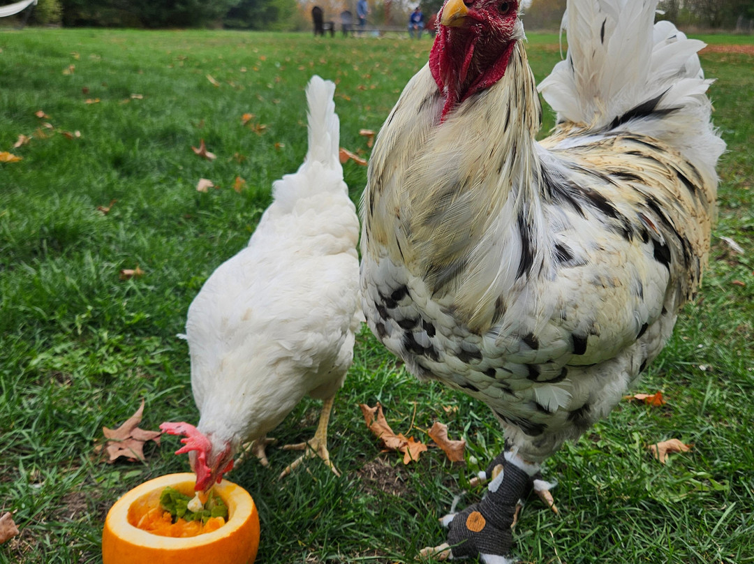 Secondhand Stories-Lombardy必去景点