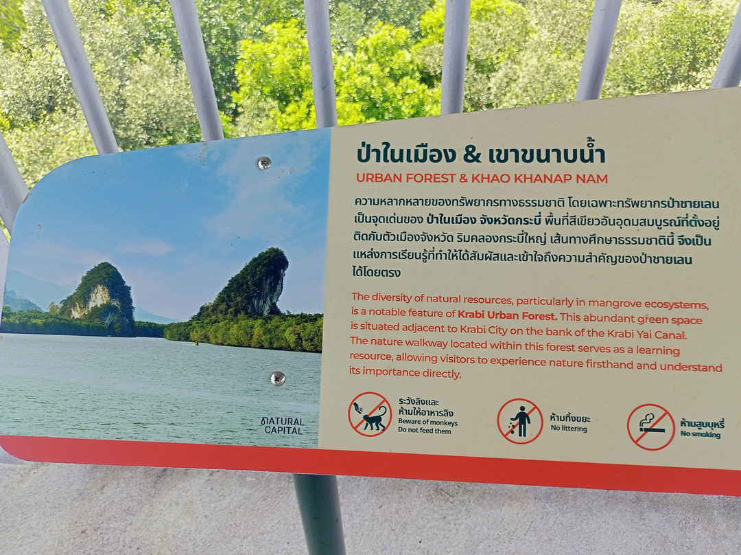 Krabi Urban Forest-Pak Nam必去景点
