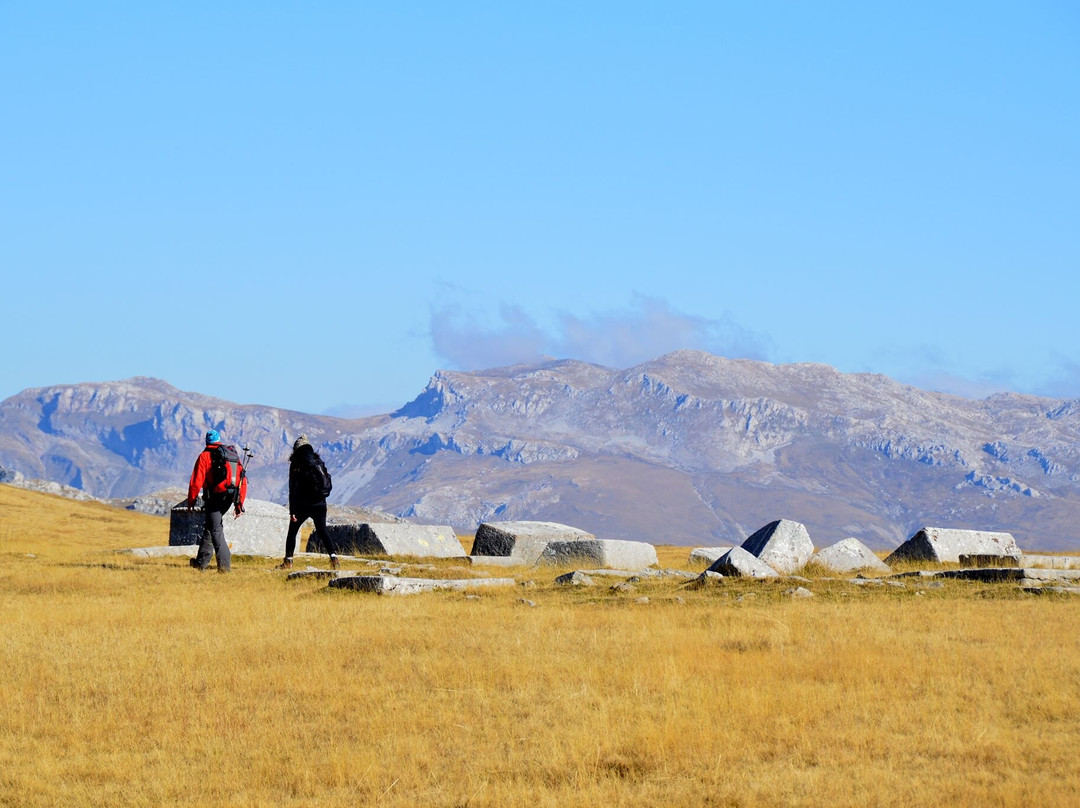Green Visions-萨拉热窝必去景点