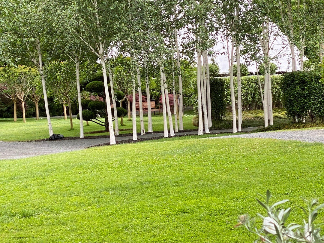 TreeChurch and Gardens-Ohaupo必去景点