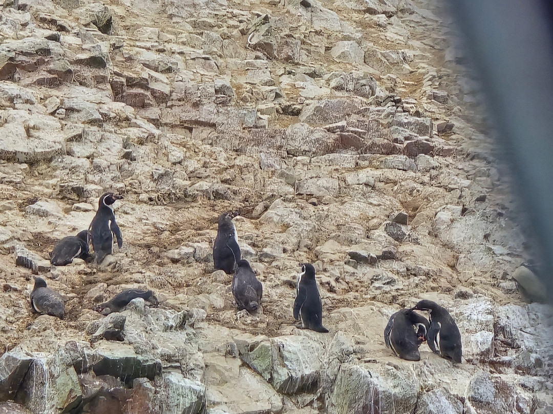 Aliza Tours-Huacachina必去景点