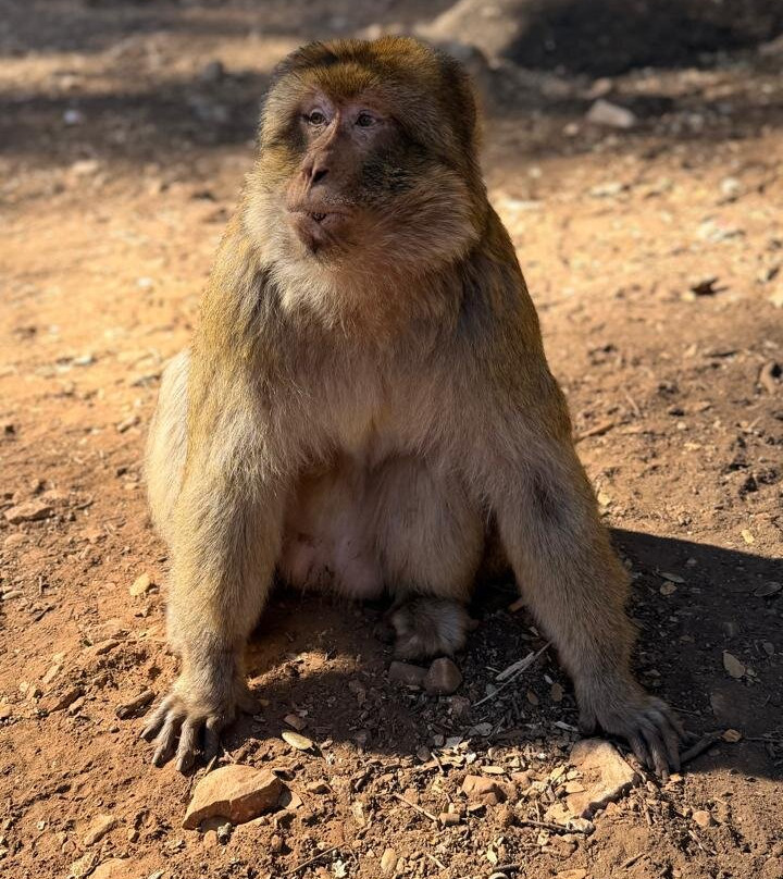 Click Exursions-马拉喀什必去景点