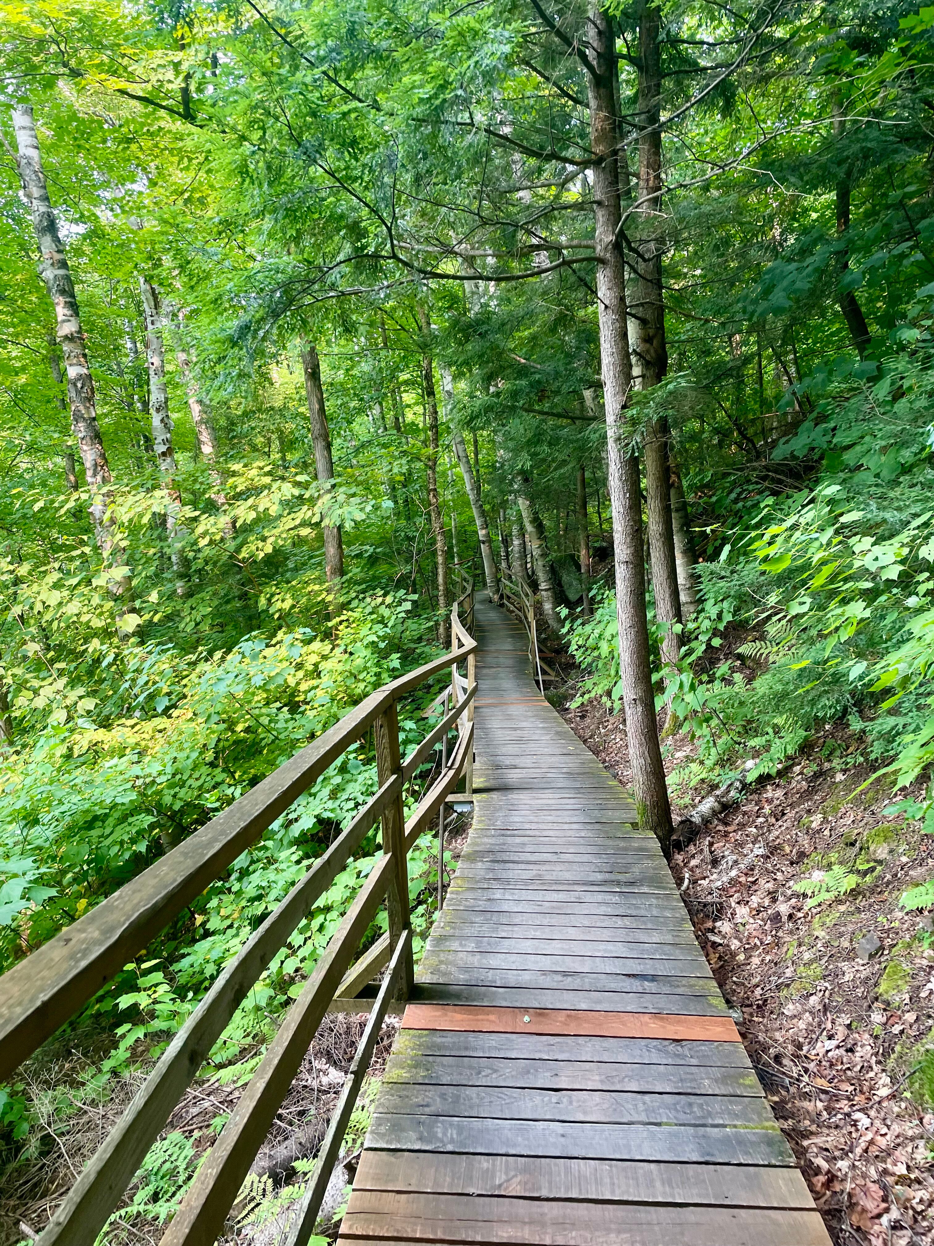 Hotel Sacacomie-官方