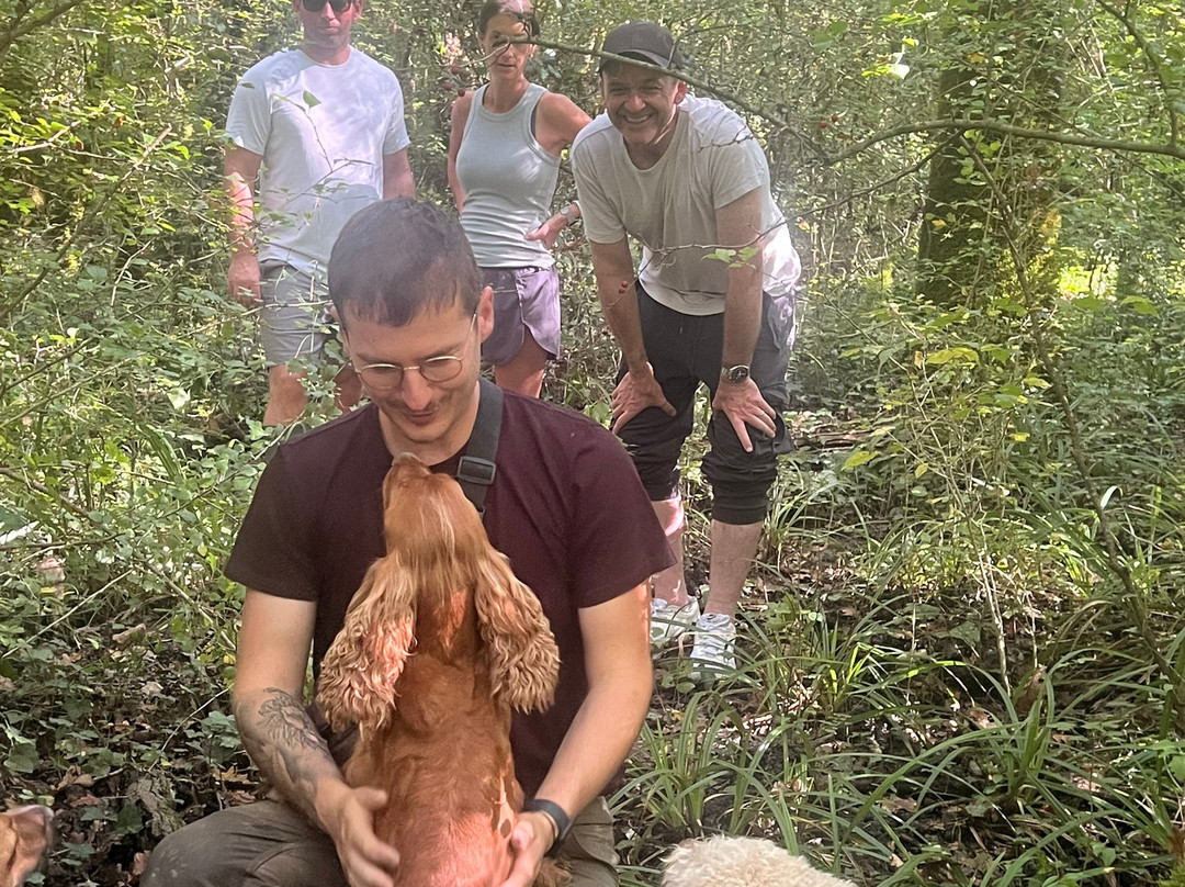 Karlic Tartufi-Buzet必去景点