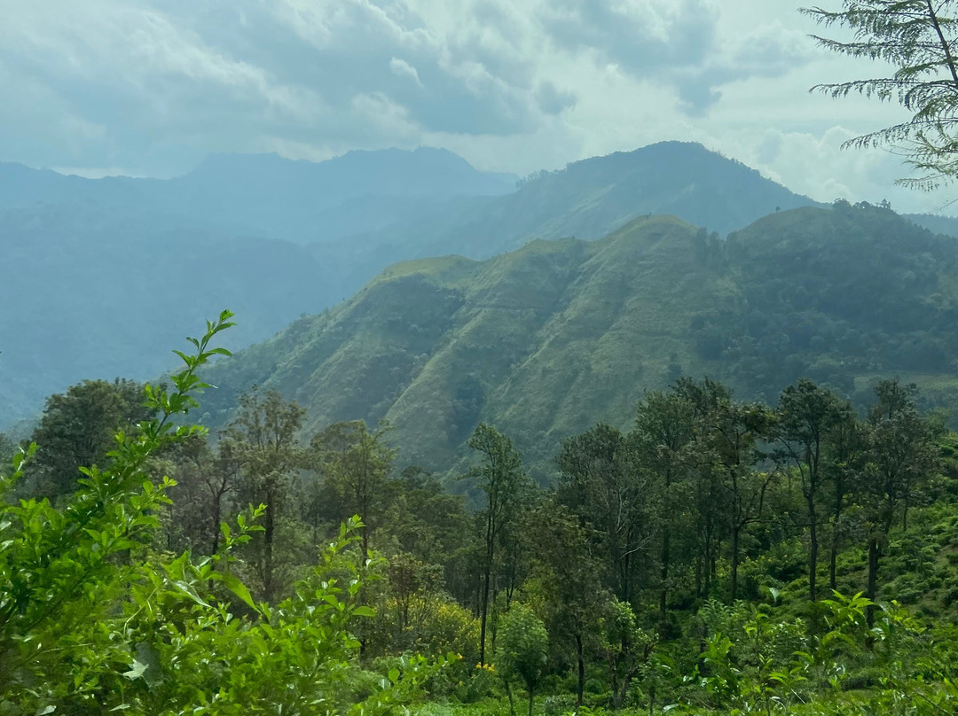 Chathu Lanka Tours-康提必去景点