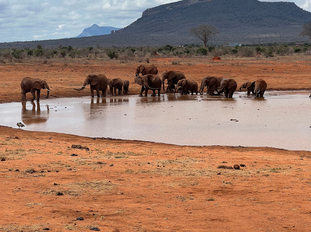 Around Holiday Adventure-查佛必去景点