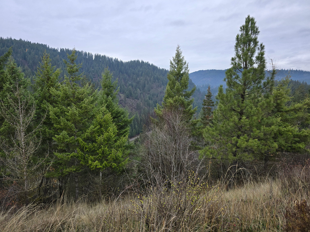 Seven Stars Alpaca Ranch Llc-科达伦必去景点