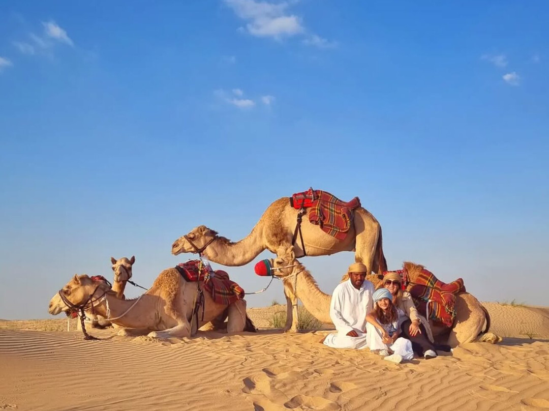 The Camel Farm-迪拜必去景点