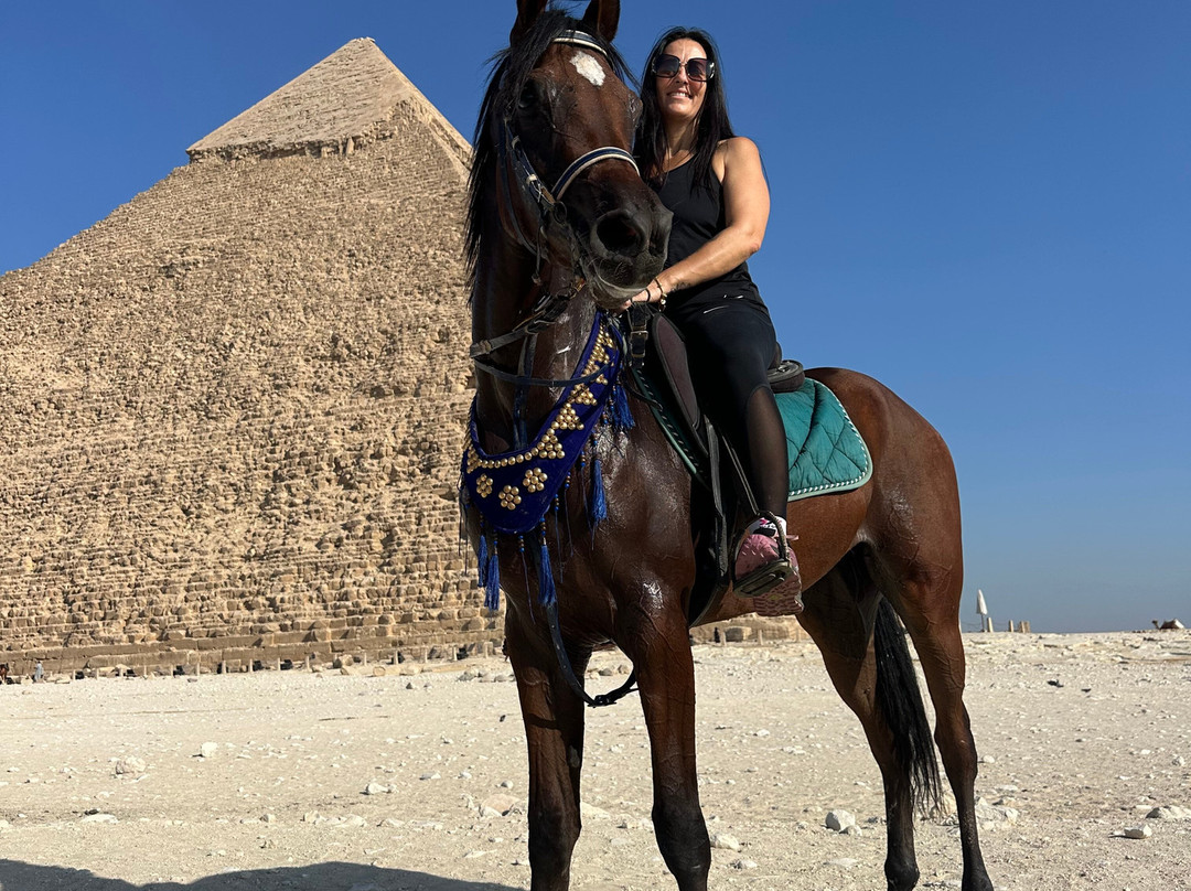 Desert Dreams-卢克索必去景点