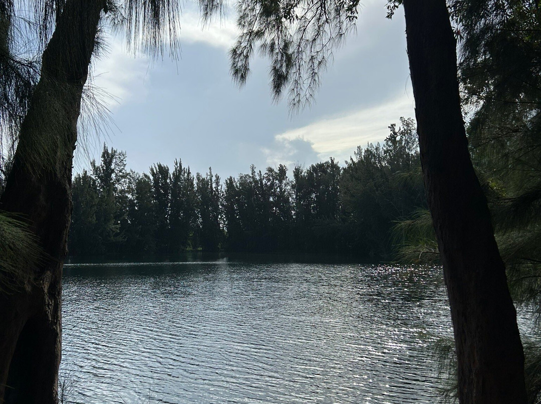 Wolf Lake Park-戴维必去景点