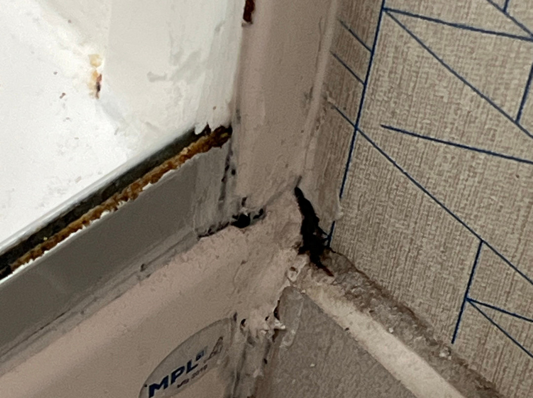 Holiday Inn Express & Suites Salem By IHG主图