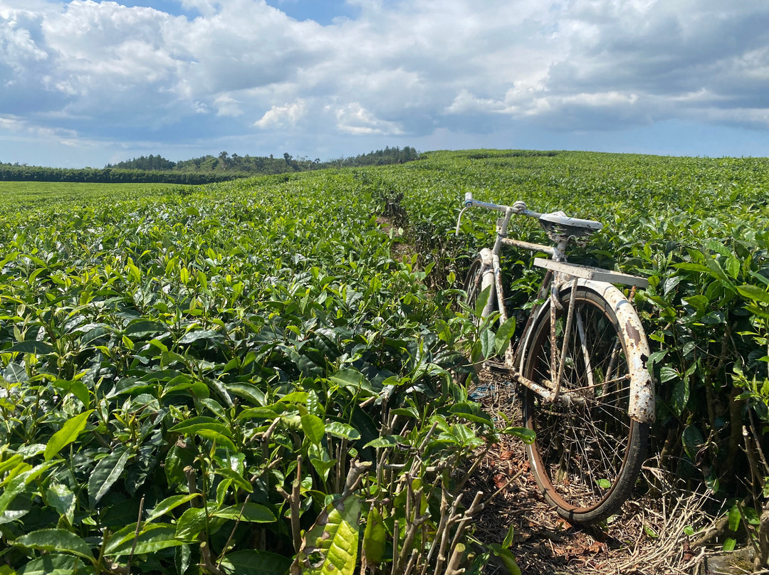 Jaun bocus Taxi Mauritius-蓝湾必去景点