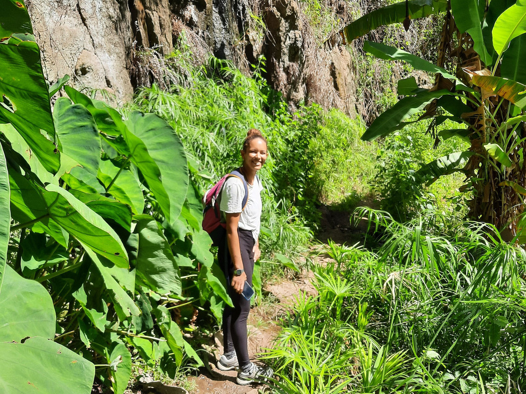 Terra Tours By Daleiden-Porto Novo必去景点