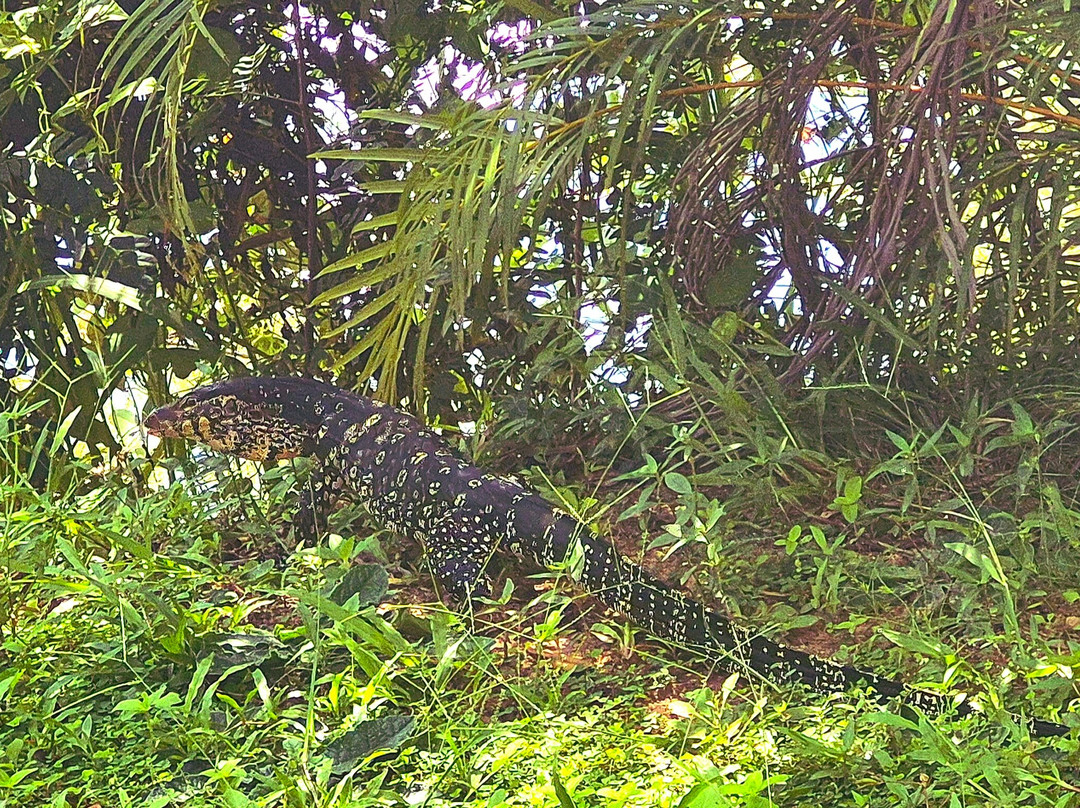 Ayurveda Paradise Maho主图