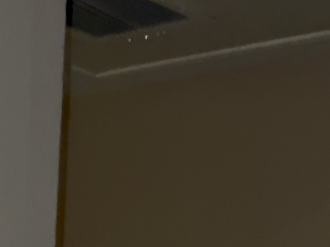 休斯敦市中心皇冠假日酒店主图