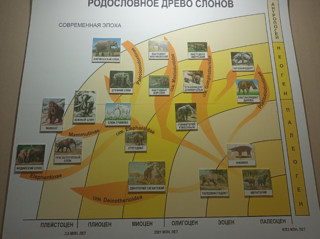 Prozritelev and Prave Stavropol State Museum-Stavropol必去景点