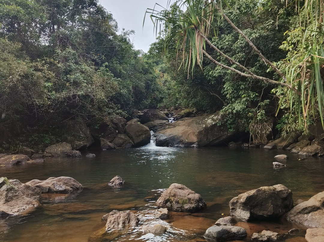 Foggy Knolls Resort主图