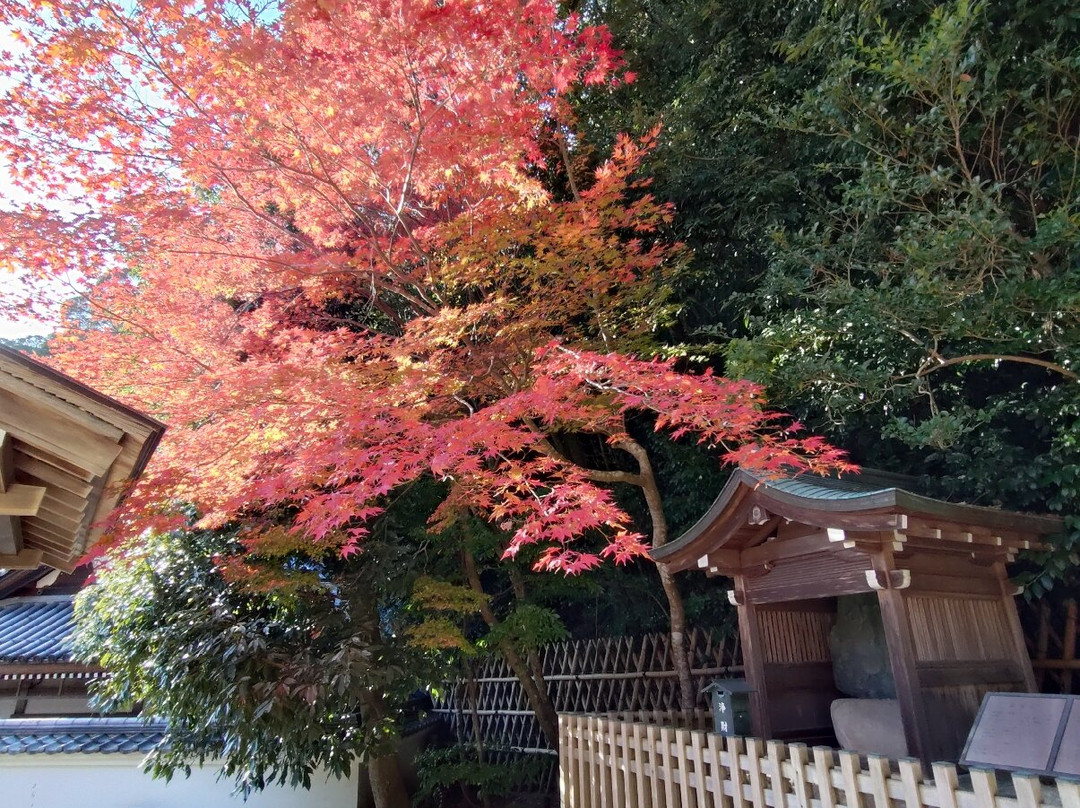 Kiyoshikojin Seichoji-宝冢市必去景点