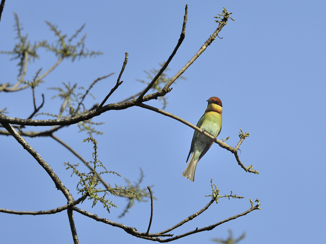 Adventure Safari & Trek-Thakurdwara必去景点