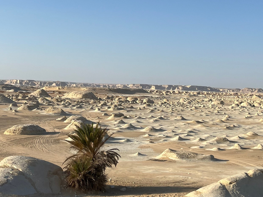 Desert Son-Bawiti必去景点