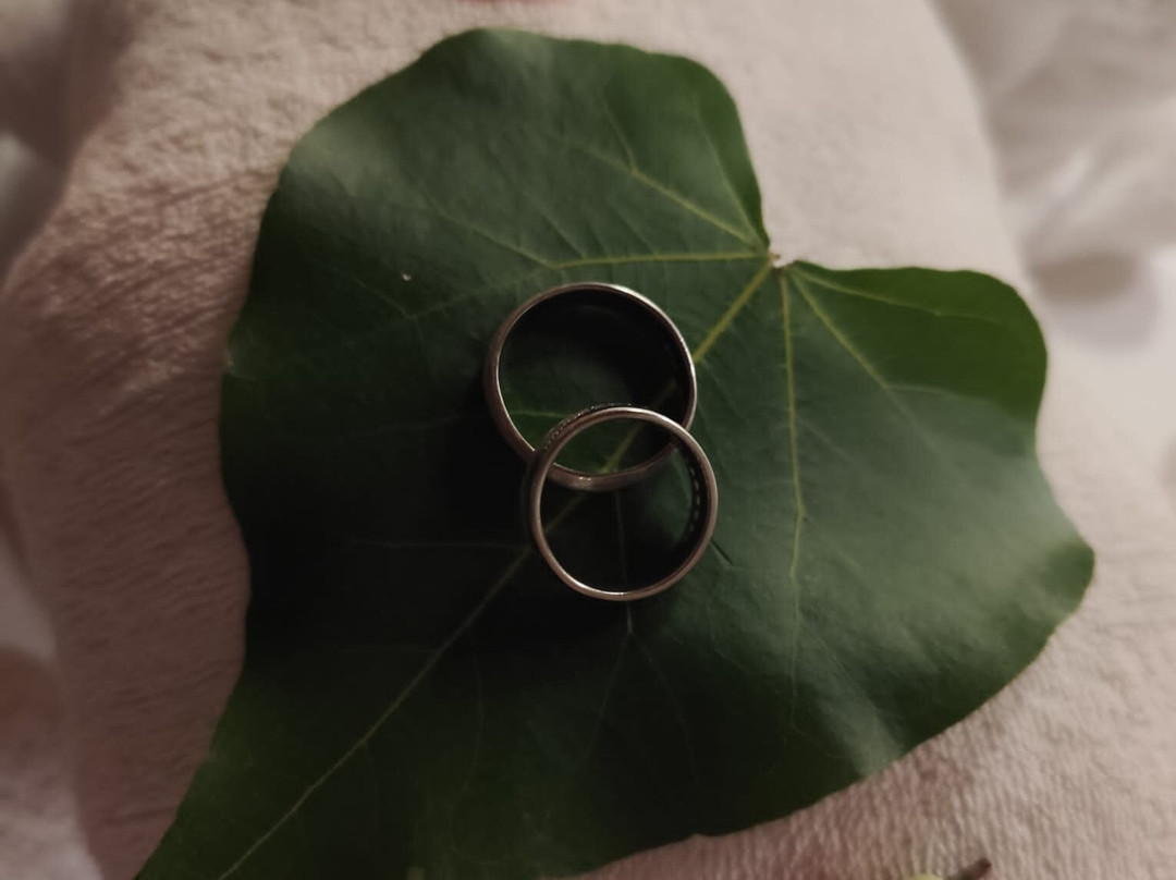 马卡迪绿洲伊波罗度假酒店主图