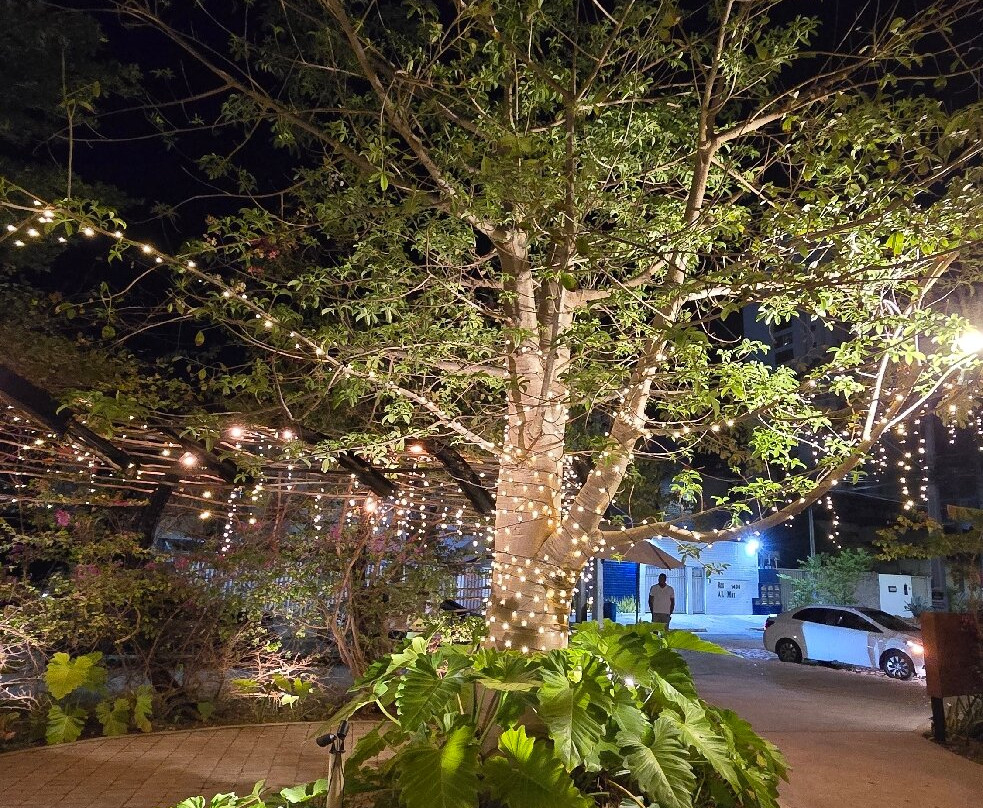 Ville Des Plantes Open Mall-Joao Pessoa必去景点