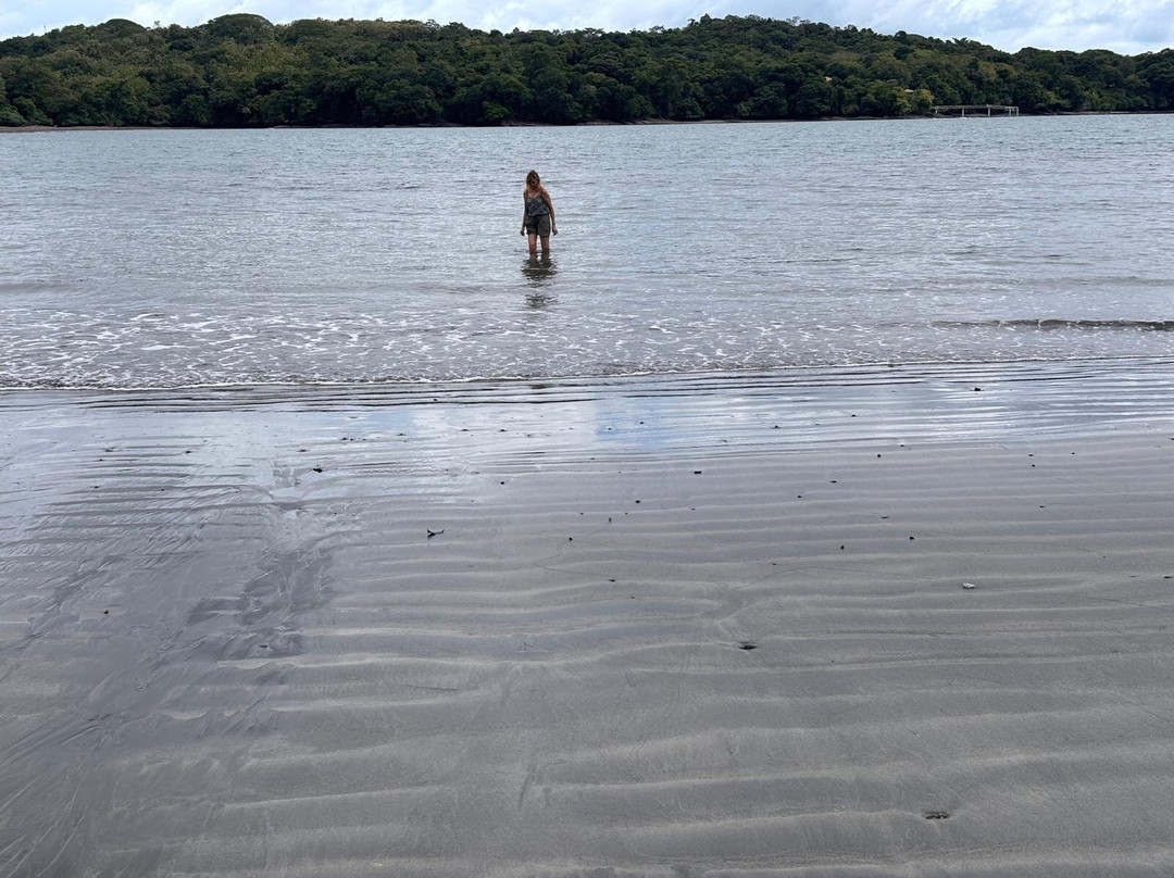 Boca Brava Divers-Boca Chica必去景点