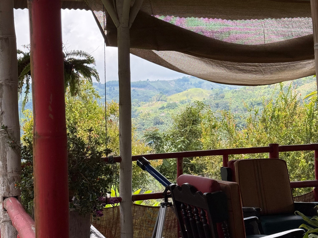 Cafe Tio Conejo-Manizales必去景点