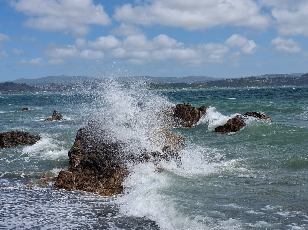 Pencarrow Coastal Trail-惠灵顿必去景点