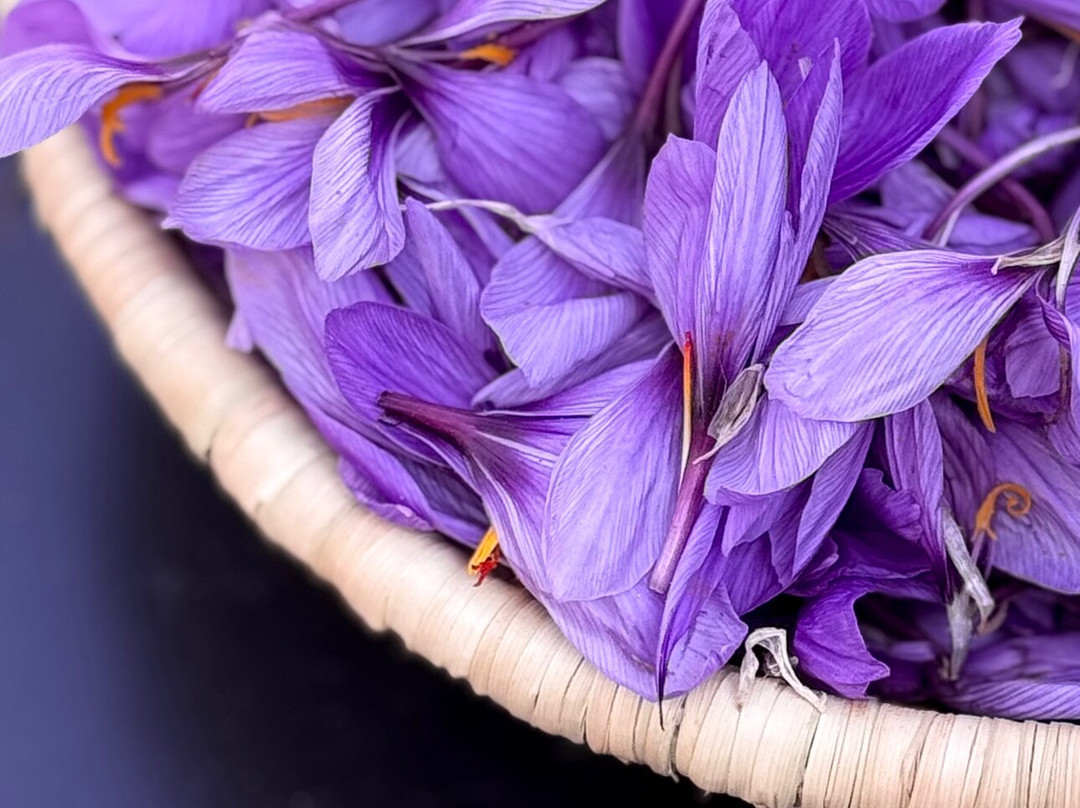 Le Paradis du Safran-Ourika必去景点