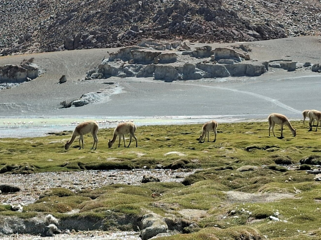 ExploraVidaPuna-萨尔塔必去景点