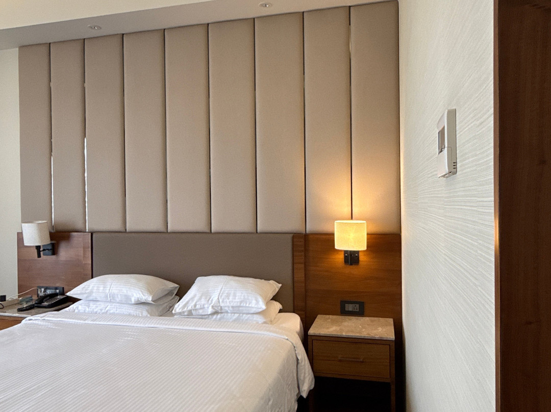 Ratnamouli Palace主图