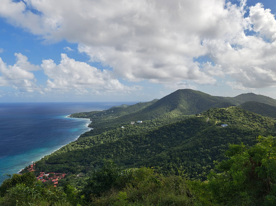 Carambola Zip Line-Frederiksted必去景点