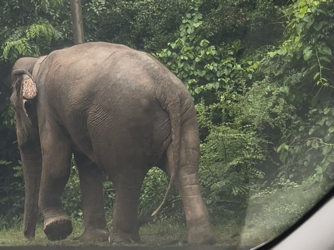 Pick To Me Taxi And Tours-品纳维拉必去景点