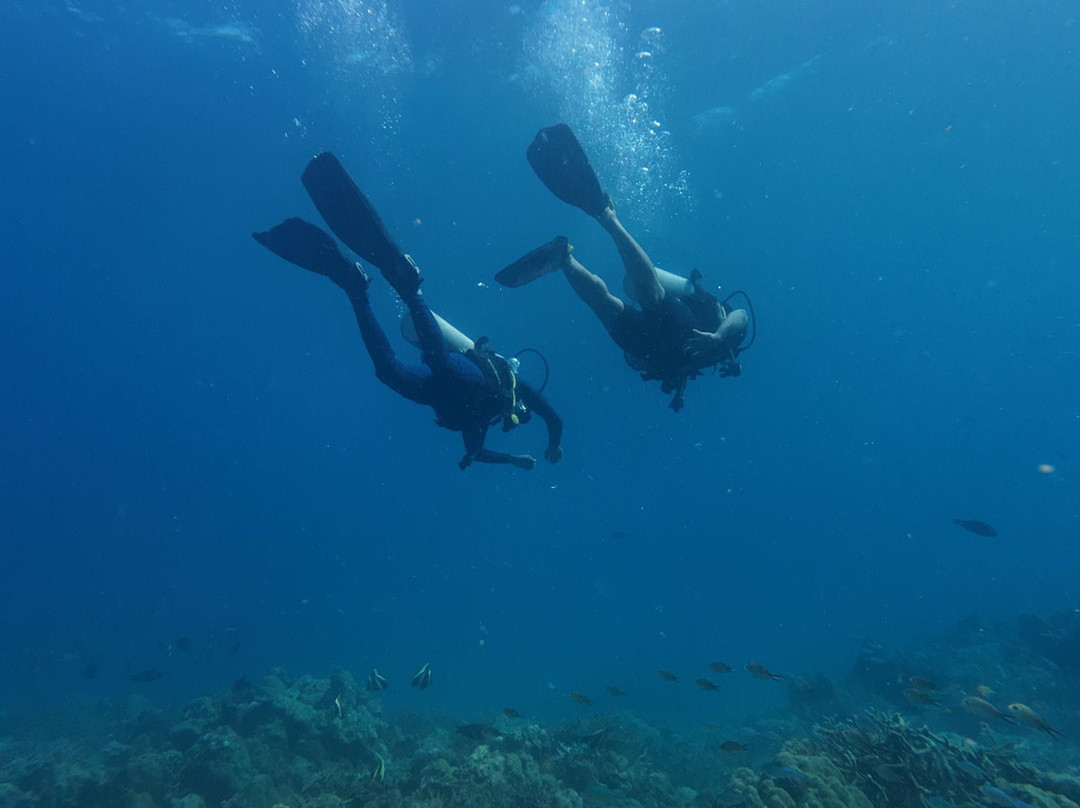 Turquoise Dream | PADI Dive Centre-Neil Island必去景点