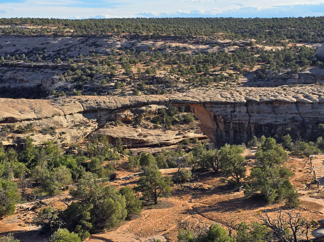 Natural Bridges National Monument-布兰丁必去景点