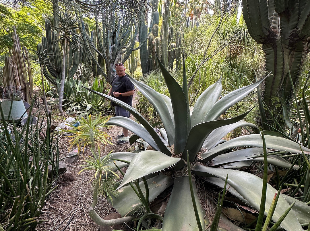 Obesa Cacti Nursery-格拉夫-里内特必去景点